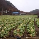 천평3리 이미지