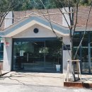 나무사이로 이미지