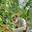 이석용농장 이미지