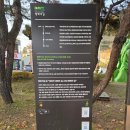 대동리 | DMZ평화의길 6코스 후기