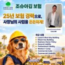 미국에서 사업할 때, 어떤 보험 커버리지가 필요할까요? 이미지