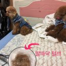 한밤미용실