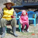 다영농장 이미지