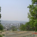 대운장모텔 Daum카페