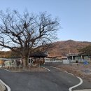 성원2리마을회관 | 백두 석단분맥 2구간 상주; 지사마을회관-장대봉(407봉)-석단산(220.4봉)-232.6봉-남산-장원봉-북천...