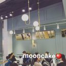티라펠리체