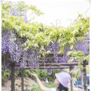 비슬로387길 이미지