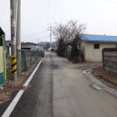 금율로 1 Daum카페