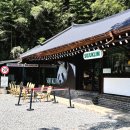 남구-33 | 광주 남구 카페 포충사 근처 핫플 소죽림