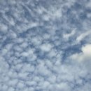 사랑한약국 이미지