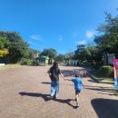 창녕우포곤충나라 이미지