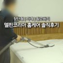 강아지 키우는 1년차 새댁의 델핀코리아 홈케어 솔직 후기