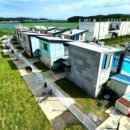 헤이도그 이미지