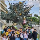 용인대 하나 태권도 이미지