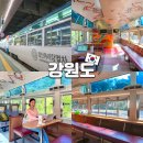 함백로 | 정선아리랑열차 특실 예약 후기 노선 시간표 기차여행 총정리