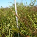 남천농장 이미지