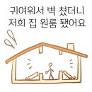 테일러쉬