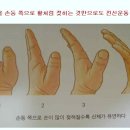 다섯손가락 이미지