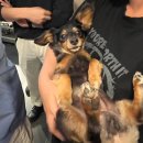 P-7902 | 우당탕탕 제주도 여행 2부