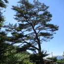 남대민박 이미지