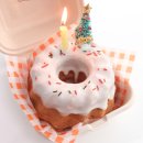 바르다펫 이미지