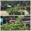 벽운클럽 이미지