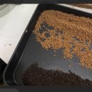 김밥앤친구들 이미지