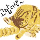 난니꼬양 이미지