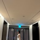 동서울슈퍼 | 서울 호캉스 추천! 풀만 앰배서더 서울 이스트폴 5성급 호텔 솔직 후기
