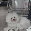 (주)엠포인 | 이번주 다음주 그 다음주도 살아야하네?