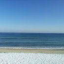 동해바다 이미지