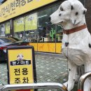 펫마트홍은
