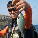 노물수산 Daum카페