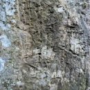 금오산휴게소 이미지