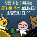 비전앤하드렌즈샵 네이버블로그