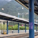 순천만국가정원 습지센터 소회의실 2(2층) | 순천 1박 2일 여행 | 순천만국가정원, 순천만습지와 알콜을 곁들인..