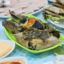 연백호