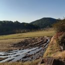 내계마을 이미지