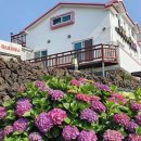 몬딱 게스트하우스 이미지