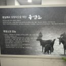 비타민 흑염소농장 이미지