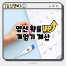 진해구 ⓒ-28 | 가임기계산 임신확률 높이는 배테기 사용법