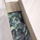 올리브조화 | 인테리어소품 집들이선물추천 생화같은 올리브 조화나무 후기