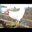 유나네 자연숲 농장 이미지