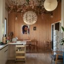 이디오랜 이미지