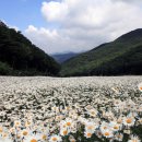 리산애 감성여행 Daum카페