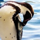 팔공산왕건길 6코스 이미지