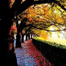 경포대가는길 이미지