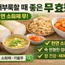 천연 소화제 무(蘿蔔) 효능 총정리 속 더부룩할 때 꼭 알아야 할 무의 약성·종류·활용법 이미지
