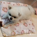 경주게스트하우스프랜드 | 경주프렌드게스트하우스 | 도미토리 1박 2만원의 가성비와 편안한 분위기
