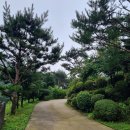 강원도영월펜션 산울림산장 방문 후기!